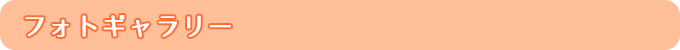 フォトギャラリー
